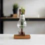 Kişiye Özel - Ahşap Ambül Saksı Bulb Tasarım
