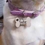 Kişiye Özel - Ahşap Kemik Modelli Köpek Tasma Kimlik Madolyonu Kişiye Özel - Ahşap Kemik Modelli Köpek Tasma Kimlik Madolyonu