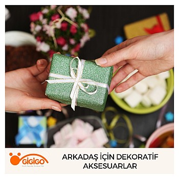 Arkadaş İçin Dekoratif Aksesuarlar
