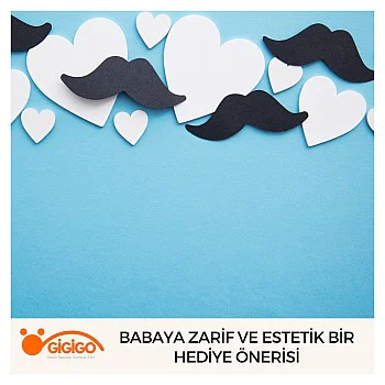 Babaya Zarif Ve Estetik Bir Hediye Önerisi