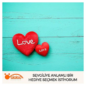 Sevgiliye Anlamlı Bir Hediye Seçmek İstiyorum