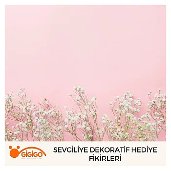 Sevgiliye Dekoratif Hediye Fikirleri