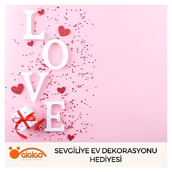 Sevgiliye Ev Dekorasyonu Hediyesi