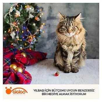 Yılbaşı İçin Bütçeme Uygun Benzersiz Bir Hediye Almak İstiyorum