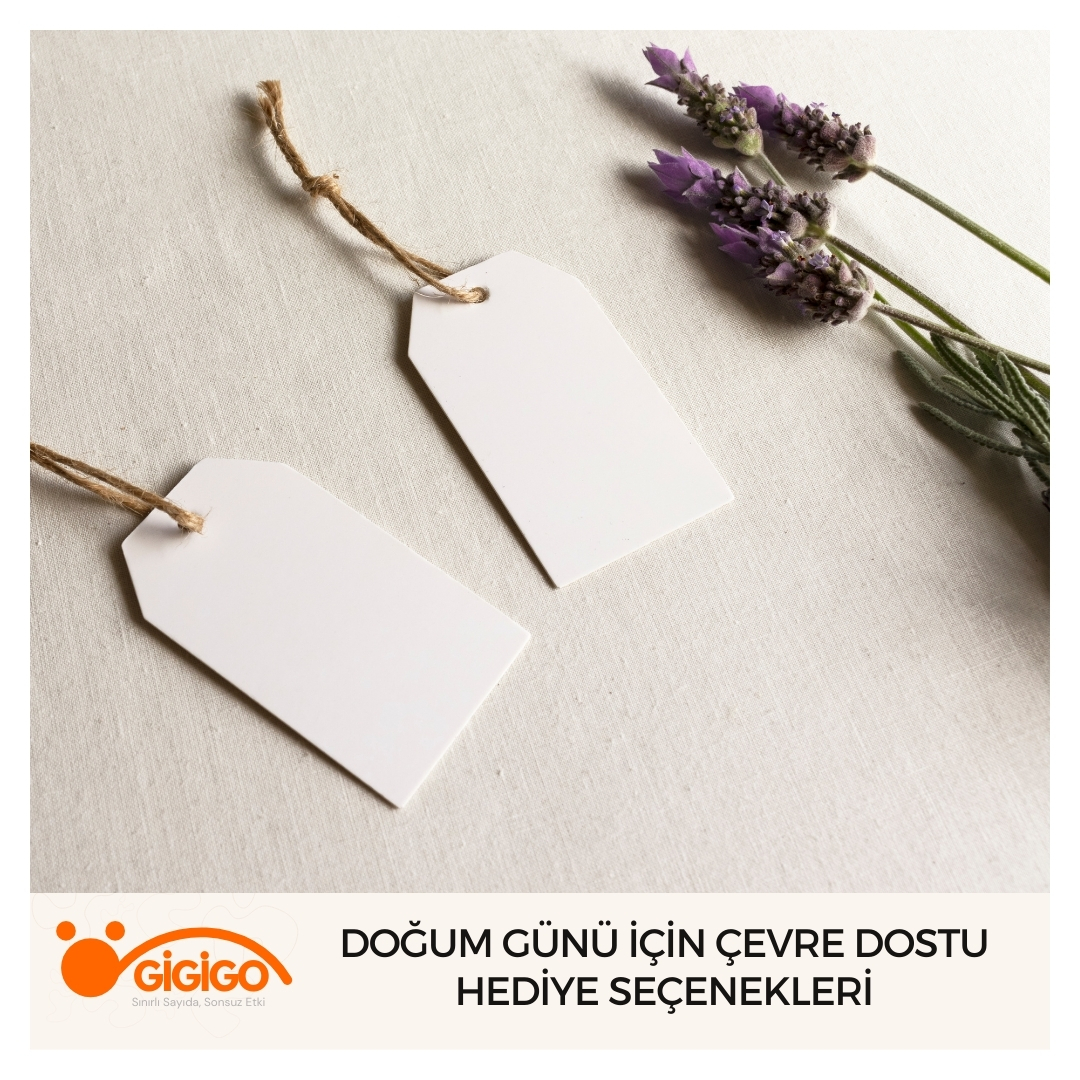 Doğum Günü İçin Çevre Dostu Hediye Seçenekleri