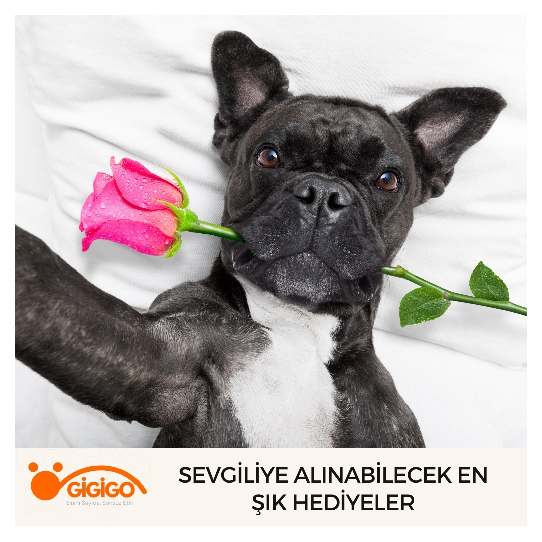 Sevgiliye Alınabilecek En Şık Hediyeler