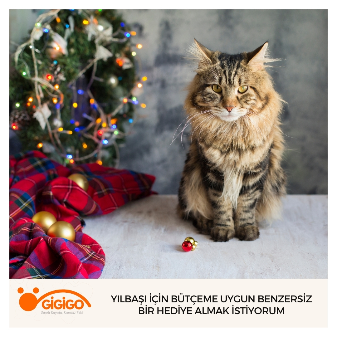 Yılbaşı İçin Bütçeme Uygun Benzersiz Bir Hediye Almak İstiyorum