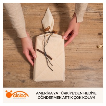 Amerika’ya Türkiye’den Hediye Göndermek Artık Çok Kolay