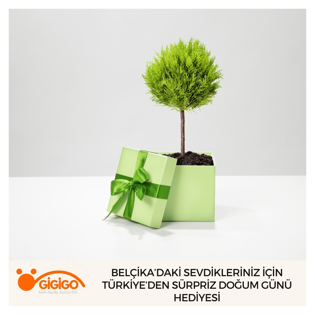 Belçika’daki Sevdikleriniz İçin Türkiye’den Sürpriz Doğum Günü Hediyesi