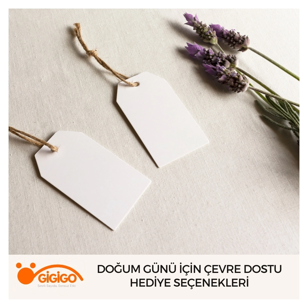 Çevre dostu ve hoş bir yılbaşı sürprizi hediyesi önerisi