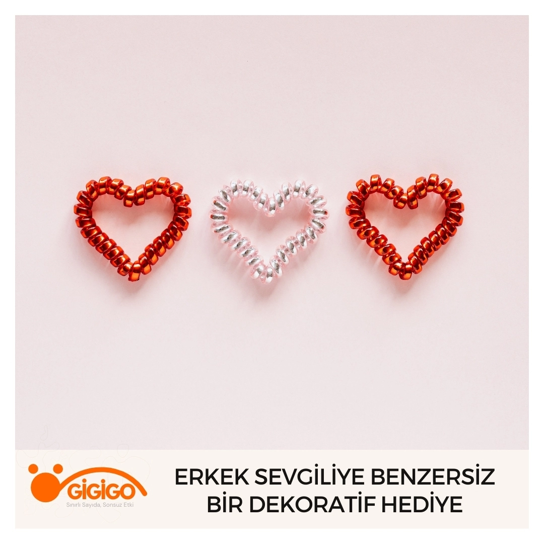 Erkek sevgiliye benzersiz dekoratif sevgililer günü hediyesi