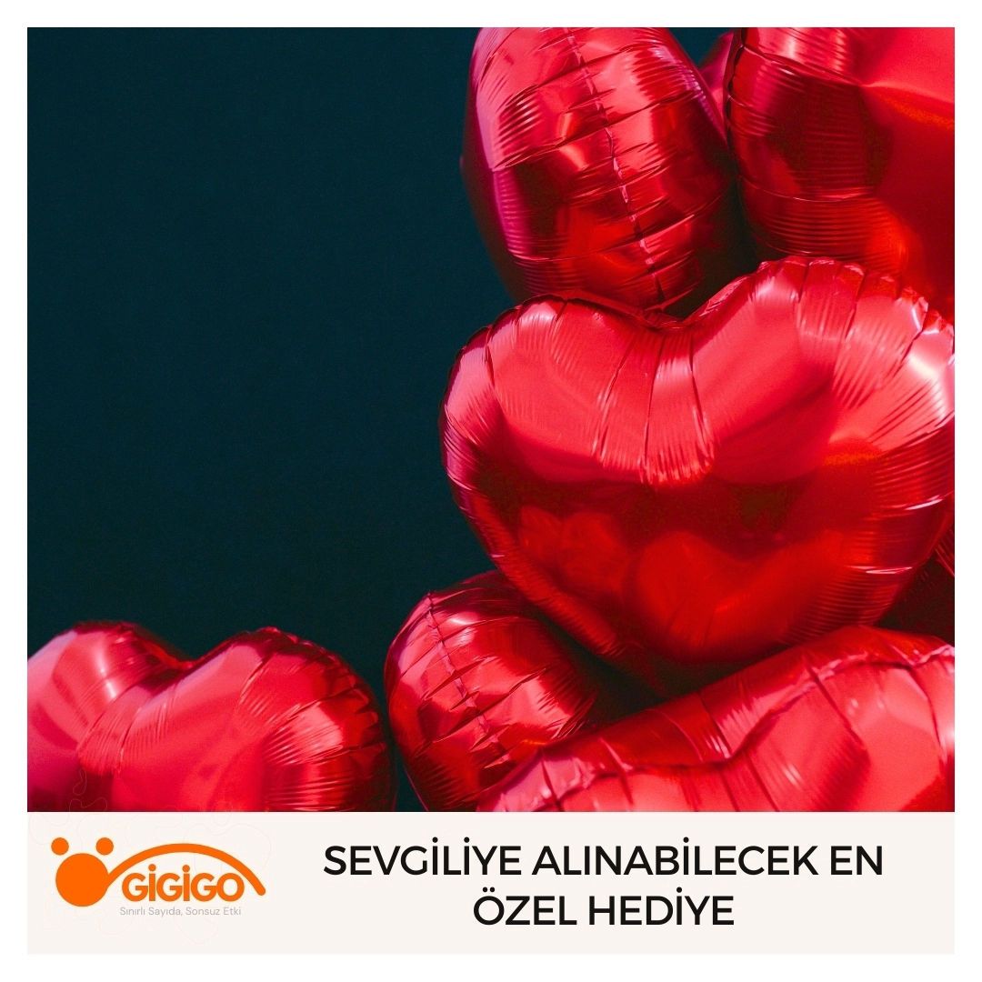 Sevgiliye alınabilecek en özel sevgililer günü hediyesi