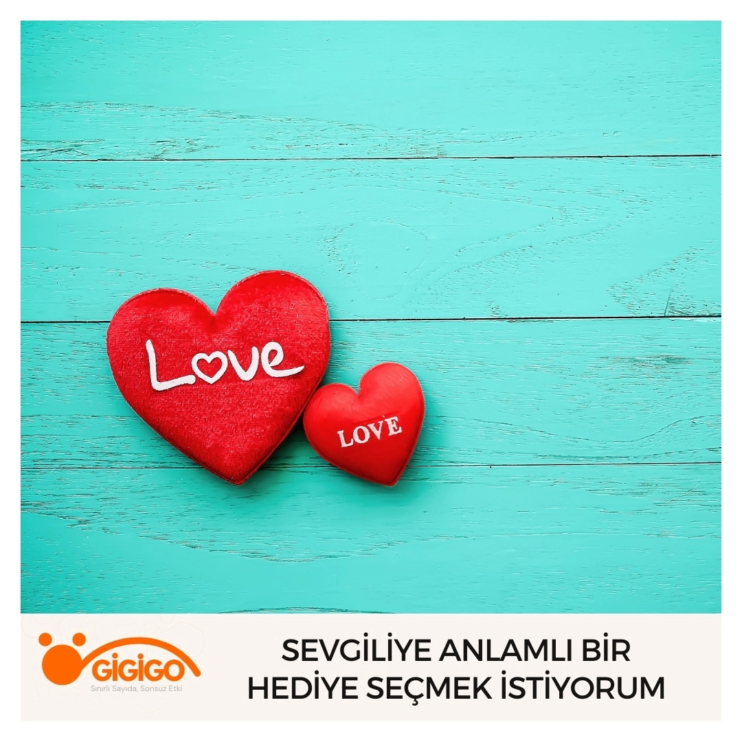 Sevgiliye anlamlı koleksiyonluk sevgililer günü hediyesi