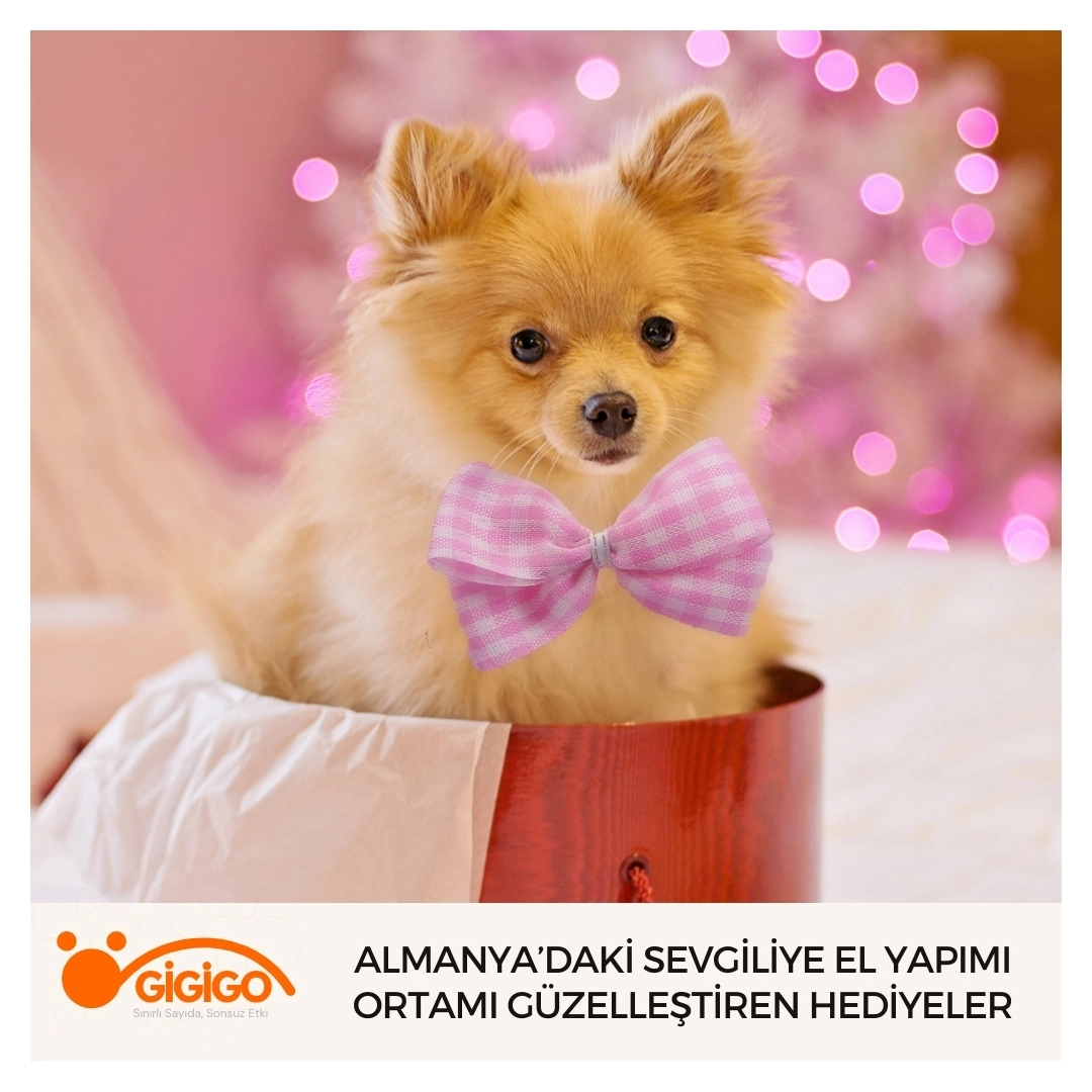 Almanya’daki sevgiliye gönderilebilecek el yapımı hediye seçenekleri